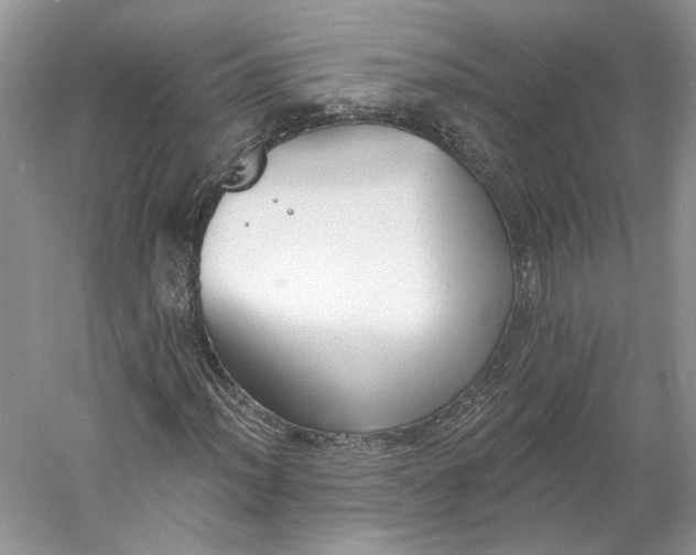 X0000060561012200511171559