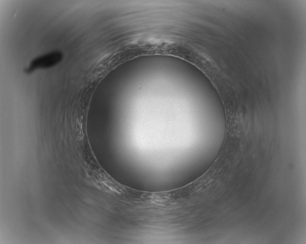 X0000060561013200511171559