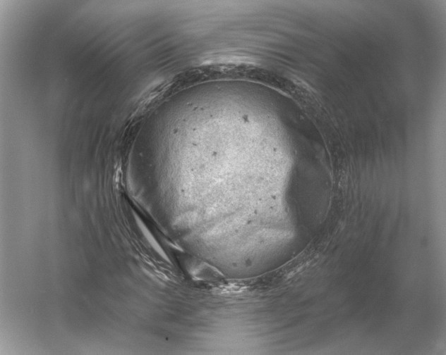 X0000060561014200511171559