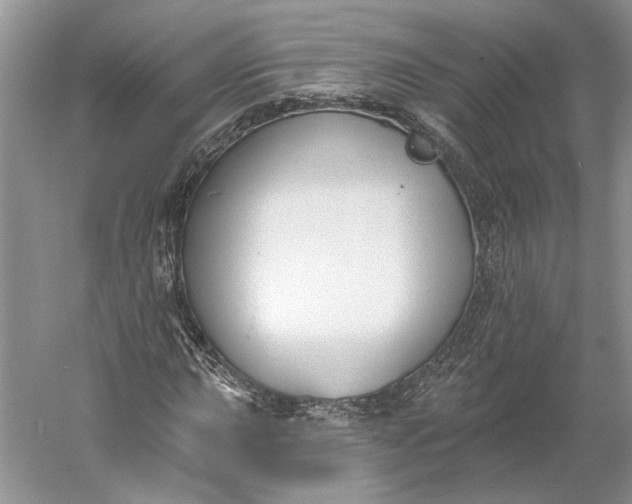 X0000060561015200511171559