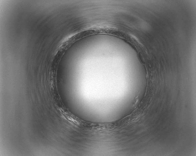 X0000060561016200511171559