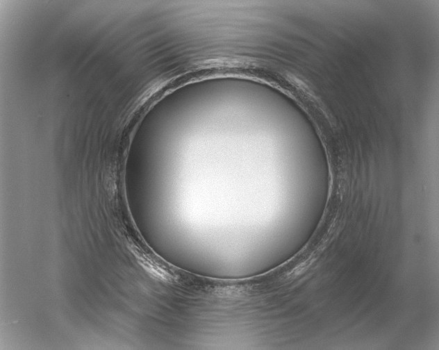 X0000060561017200511171559