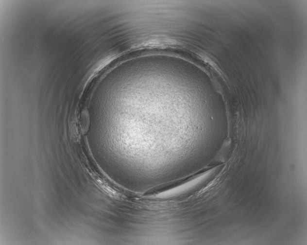 X0000060561018200511171559