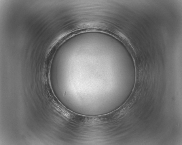 X0000060561019200511171559