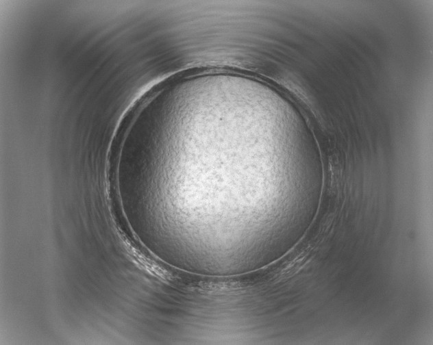 X0000060561020200511171559