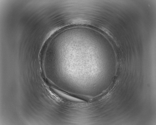 X0000060561022200511171559