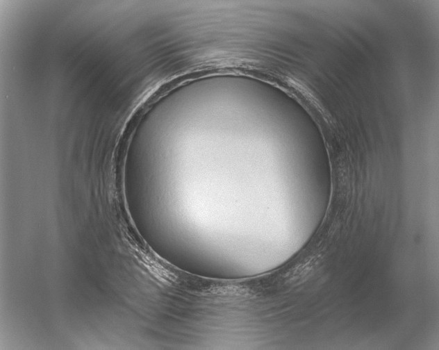 X0000060561023200511171559