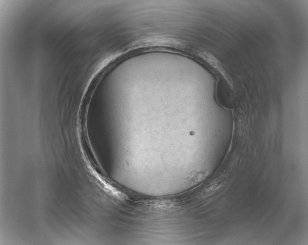 X0000060561024200511171559