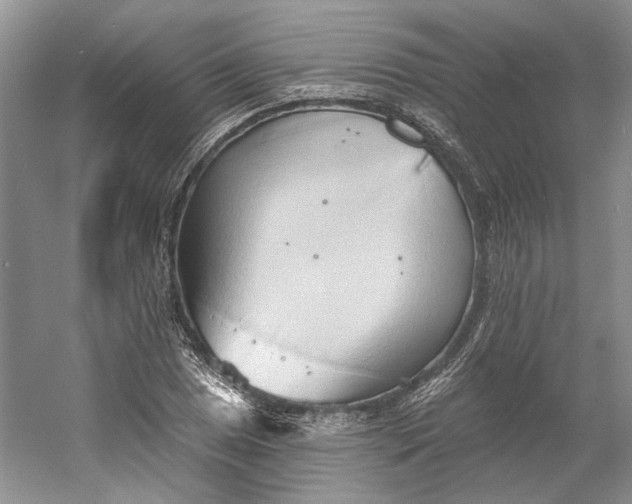 X0000060561025200511171559