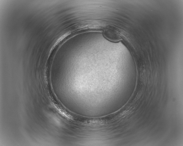 X0000060561026200511171559