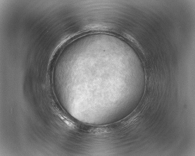 X0000060561027200511171559