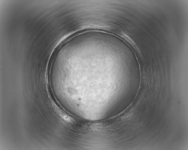 X0000060561028200511171559