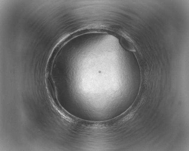 X0000060561029200511171559