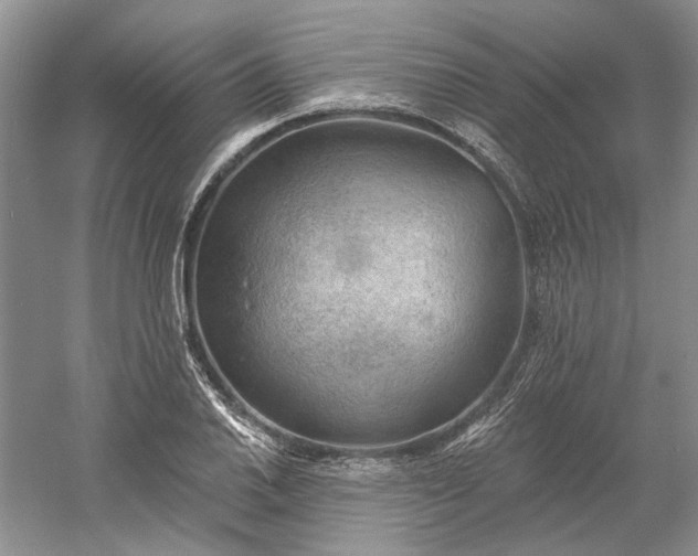 X0000060561030200511171559