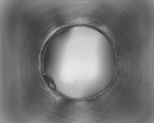 X0000060561031200511171600