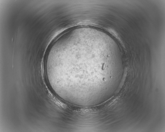 X0000060561032200511171600