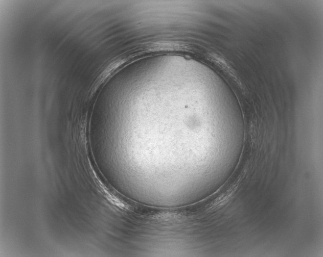 X0000060561033200511171600