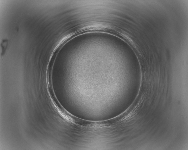 X0000060561034200511171600