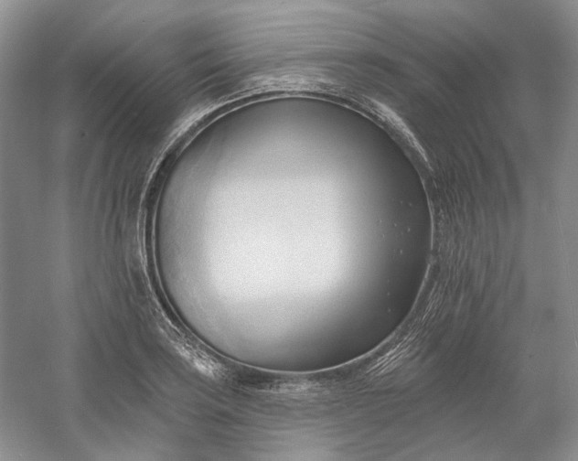 X0000060561035200511171600