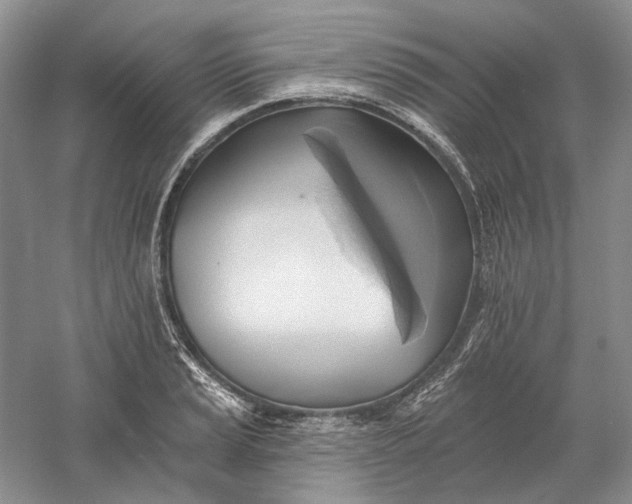 X0000060561037200511171600