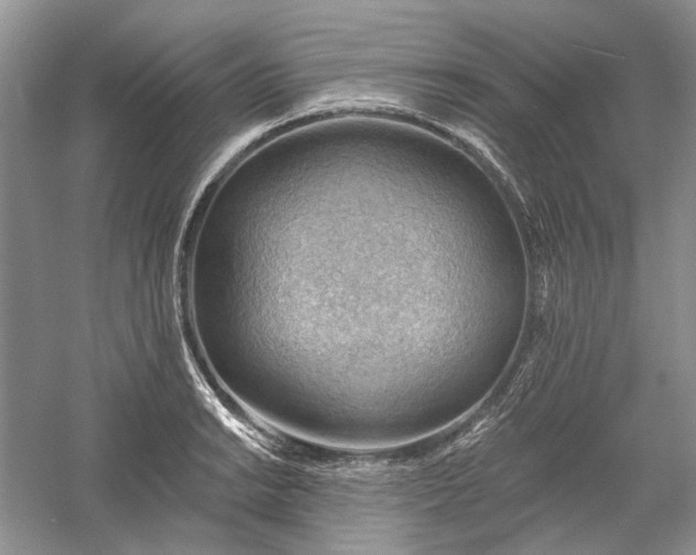 X0000060561038200511171600