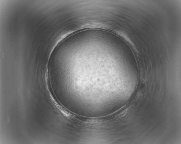 X0000060561040200511171600