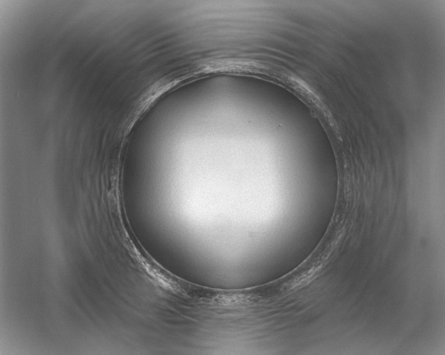 X0000060561041200511171600