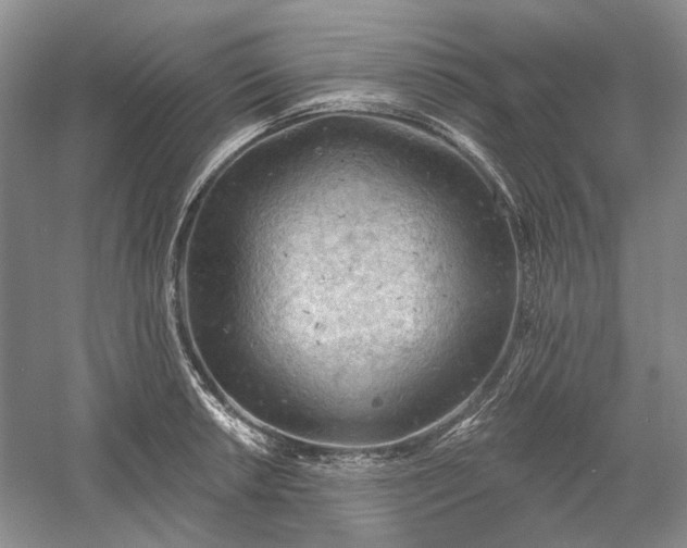 X0000060561042200511171600