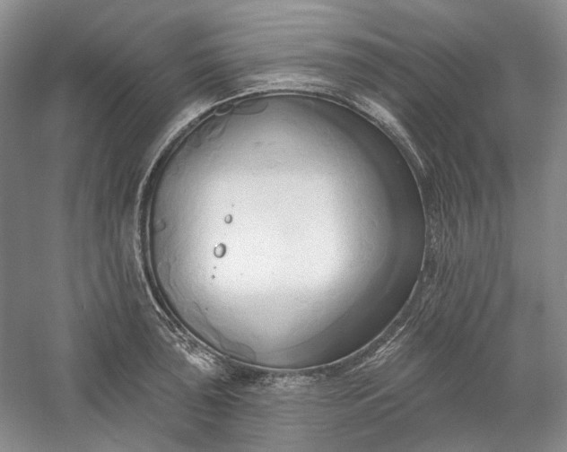 X0000060561043200511171600