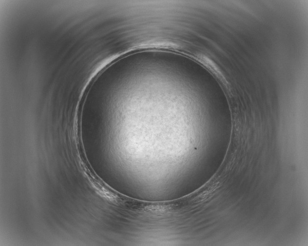 X0000060561044200511171600