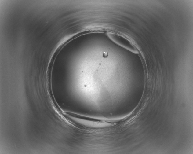 X0000060561045200511171600