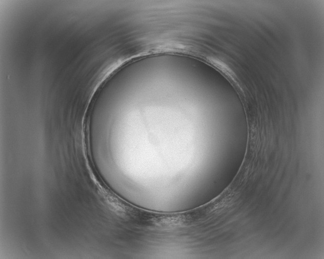 X0000060561047200511171600