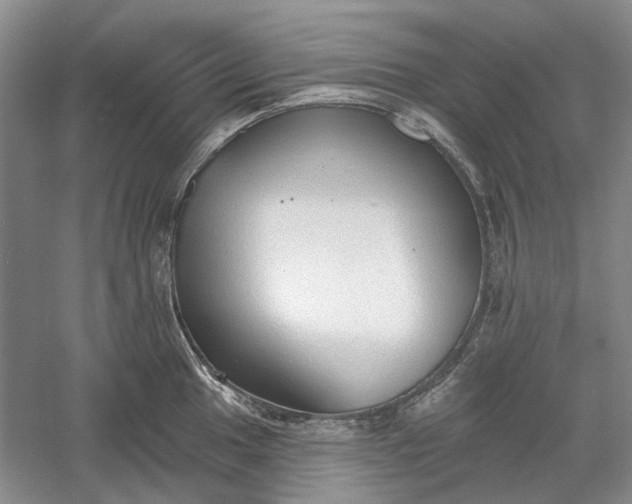 X0000060561049200511171600