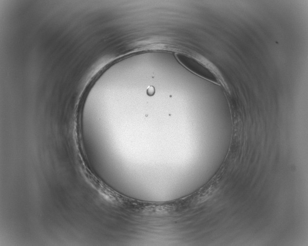 X0000060561051200511171600