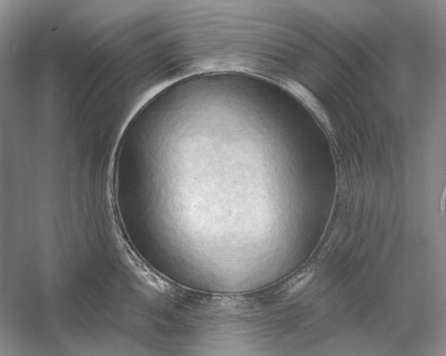 X0000060561052200511171600