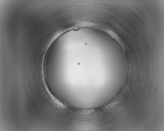 X0000060561055200511171600