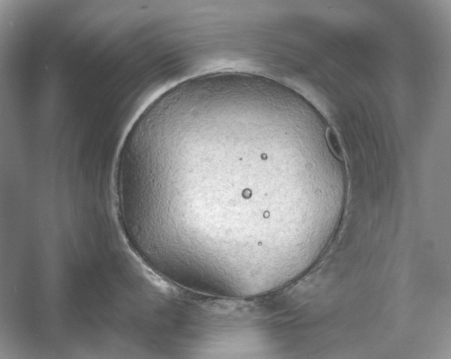 X0000060561056200511171600