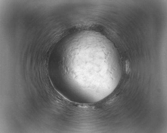 X0000060561059200511171559