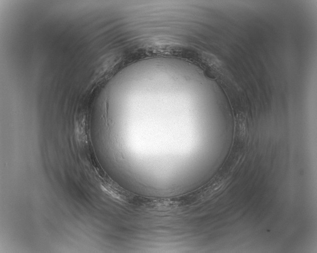 X0000060561060200511171559