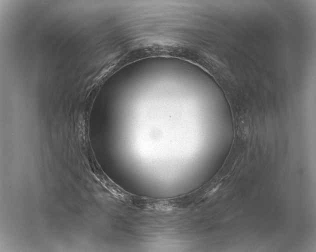 X0000060561061200511171559