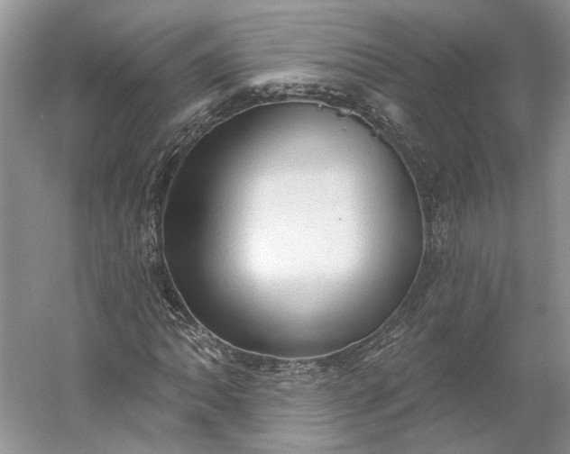 X0000060561062200511171559