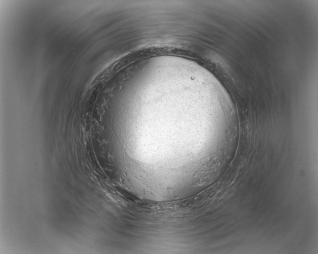 X0000060561064200511171559