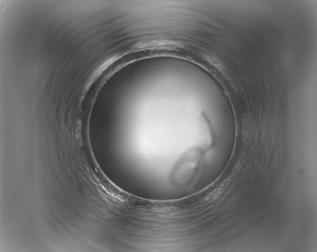 X0000060561066200511171559