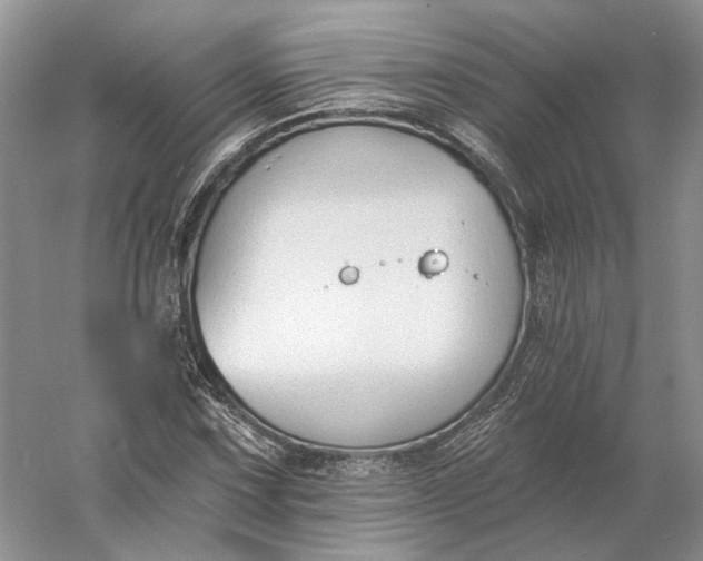 X0000060561067200511171559