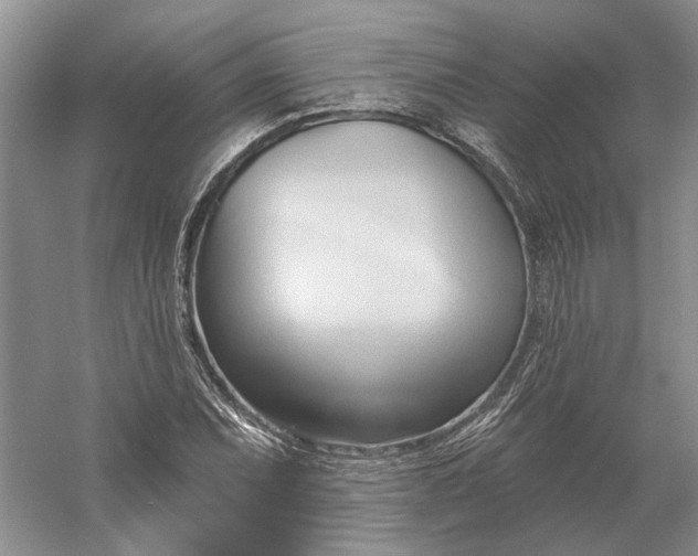 X0000060561071200511171559