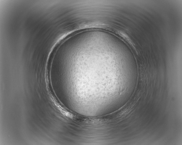 X0000060561072200511171559