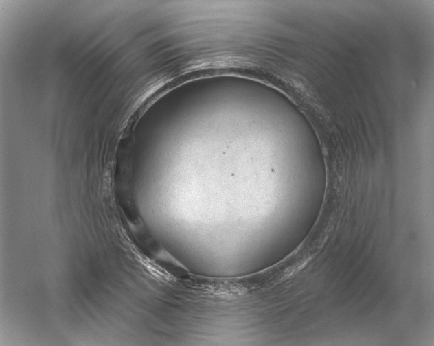 X0000060561073200511171559