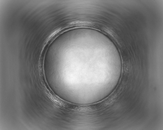 X0000060561074200511171559