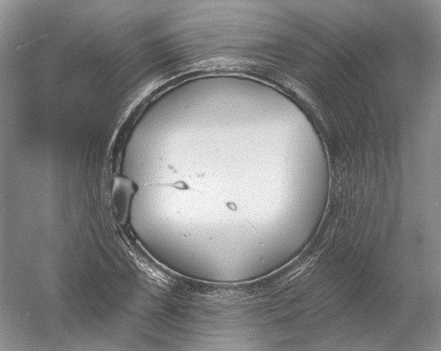 X0000060561075200511171559