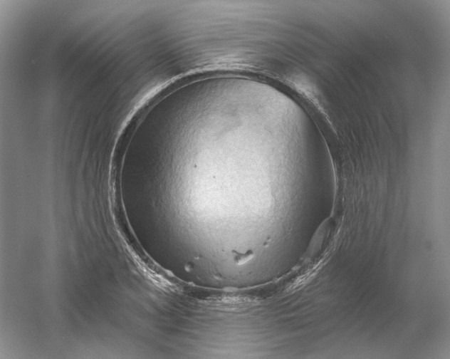 X0000060561077200511171559